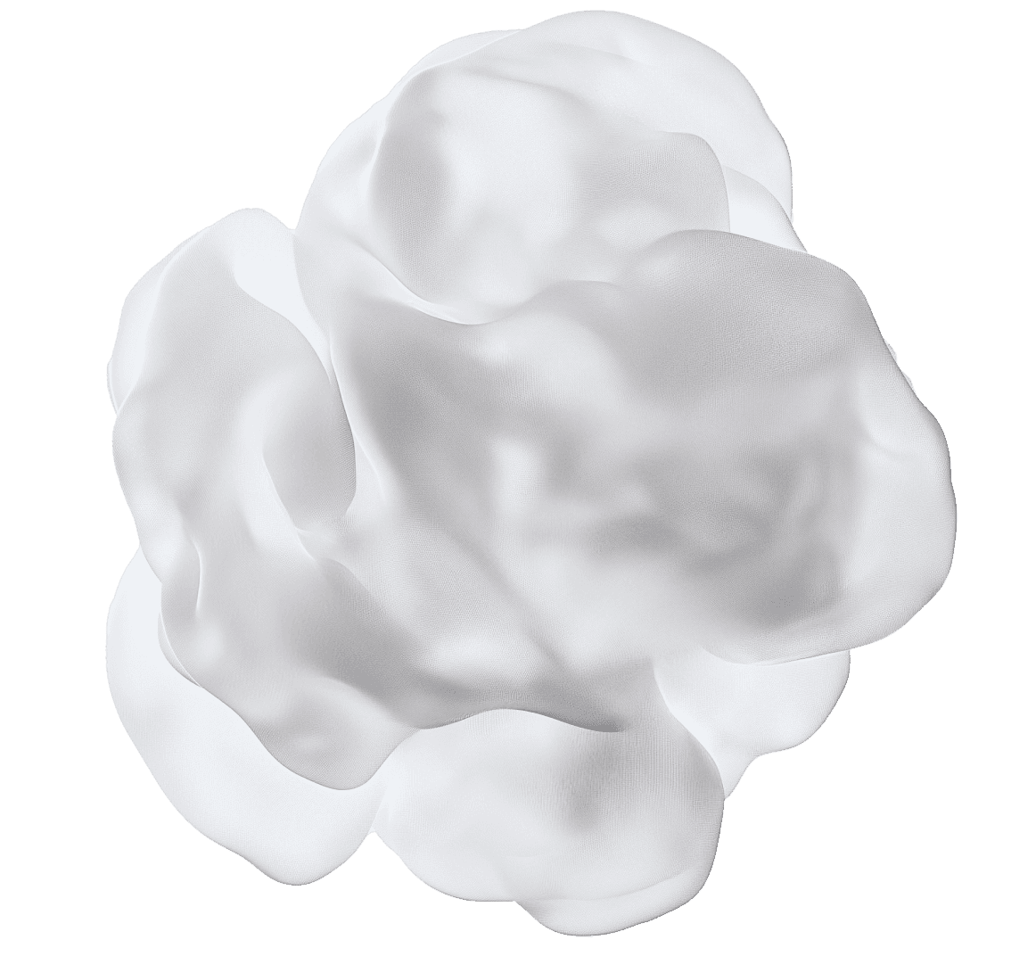 Programmi Integrativi